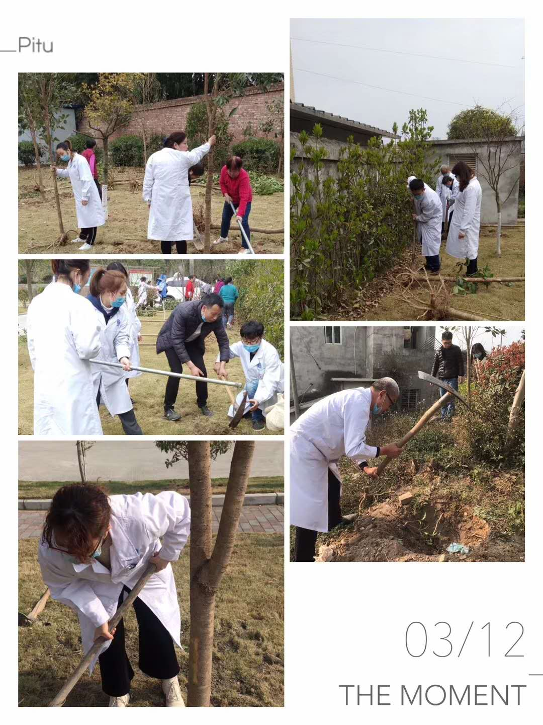 植樹節活動